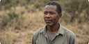 Tendai Nkomo portrait